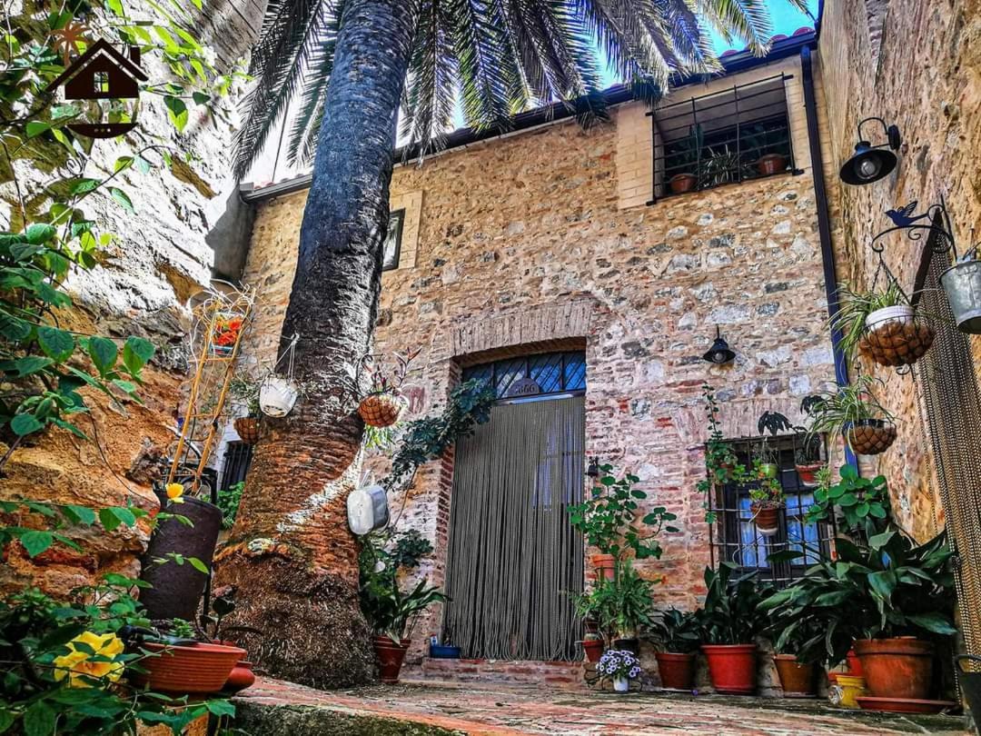 Hotel Rural Tocampavi Chillon المظهر الخارجي الصورة